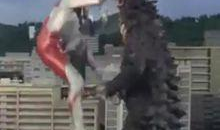 奥特曼打怪兽的视频,激战时刻全纪录