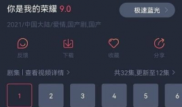 精品视频在线播放